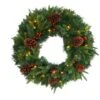 24" Clear LED Mixed Pine & Berries Christmas Wreath