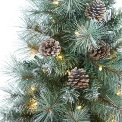 3.5ft. Pre-Lit Frosted Tip British Columbia Mountain Pine Artificial Christmas Tree In Gray Tripod Planter, Clear Lights 9 3.5ft. Pre-Lit Frosted Tip British Columbia Mountain Pine Artificial Christmas Tree In Gray Tripod Planter, Clear Lights -Northlight Shop D322615S 4