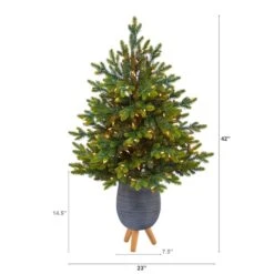 3.5ft. Pre-Lit North Carolina Fir Artificial Christmas Tree In Gray Planter With Stand, Clear Lights -Northlight Shop D322712S 2