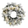 24" LED Flocked Christmas Wreath