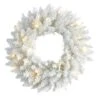 18" Pre-Lit Colorado Spruce Christmas Wreath
