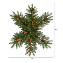 30" Pre-Lit Snowflake Artificial Dunhill Fir Wreath With Pinecones -Northlight Shop D479001S 2