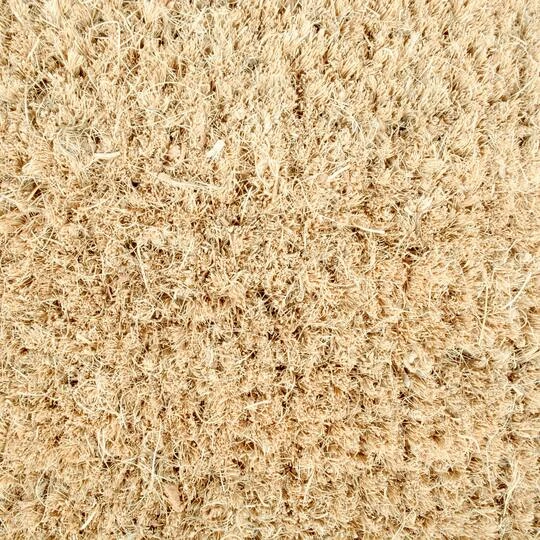 DII® Holiday Stag Doormat 4 DII® Holiday Stag Doormat - Image 4