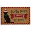 DII® Santa Paws Doormat