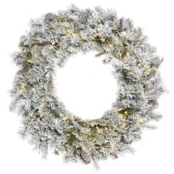 30" Pre-Lit Flocked Kiana Artificial Christmas Wreath, Warm White Wide Angle LED Lights