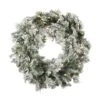 24" Pre-Lit Flocked Kiana Artificial Christmas Wreath, Warm White Dura-Lit® LED Mini Lights