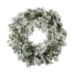 24" Pre-Lit Flocked Kiana Artificial Christmas Wreath, Warm White Dura-Lit® LED Mini Lights