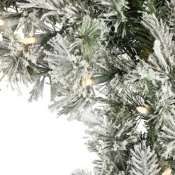 24" Pre-Lit Flocked Kiana Artificial Christmas Wreath, Warm White Dura-Lit® LED Mini Lights -Northlight Shop D575349S 2