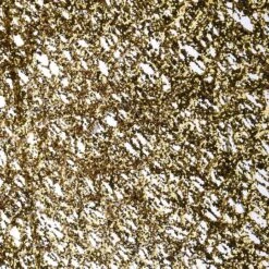 51" Pre-Lit LED Gold & White Trumpeting Angel -Northlight Shop D619795S 13