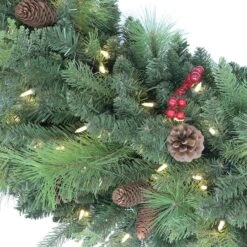 60'' Pre-Lit Rocky Mountain Spruce Christmas Wreath -Northlight Shop D659683S 2