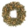 24" Glittery Bristle® LED Pine Wreath